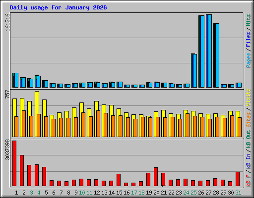 Daily usage for January 2026