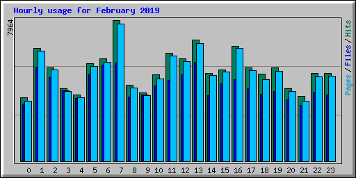 Hourly usage for February 2019