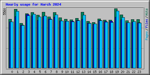 Hourly usage for March 2024