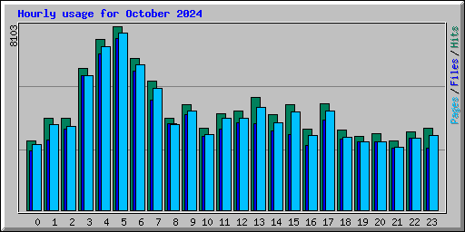 Hourly usage for October 2024