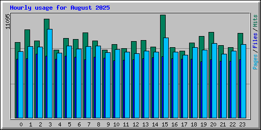 Hourly usage for August 2025