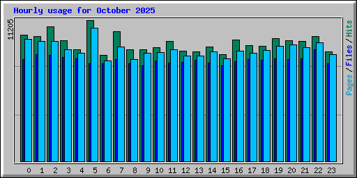 Hourly usage for October 2025