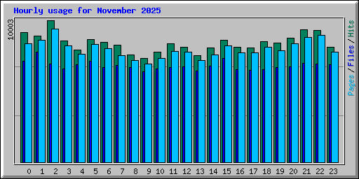 Hourly usage for November 2025