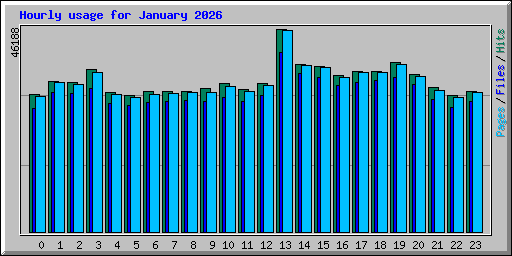 Hourly usage for January 2026