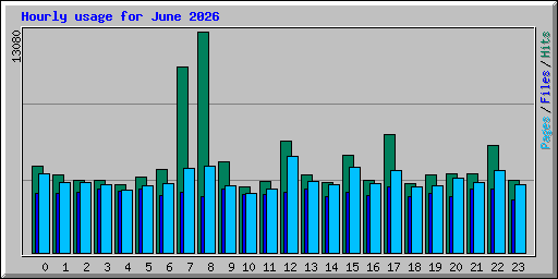 Hourly usage for June 2026